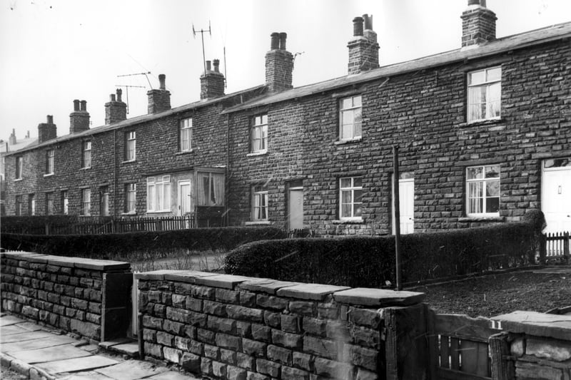 Both odd and even numbered houses are on this row of blind back properties on Prospect Grove. in March 1964. Numbers run in descending order from the left to number 12 on the right. The front door of this property on the right edge. Included in slum clearance plans for the Armley Road area.