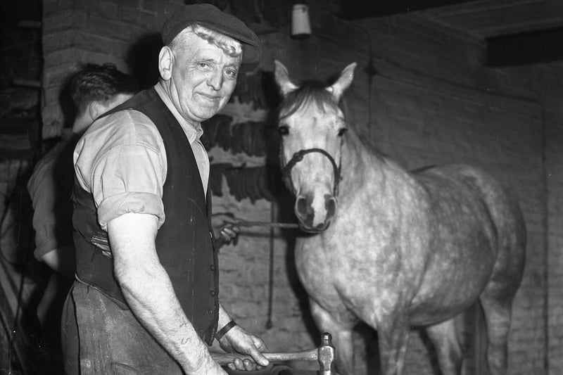 Tot Sharman was plying his trade as a farrier at the Gilbridge Avenue blacksmiths shop of Vaux Brewery in 1955.