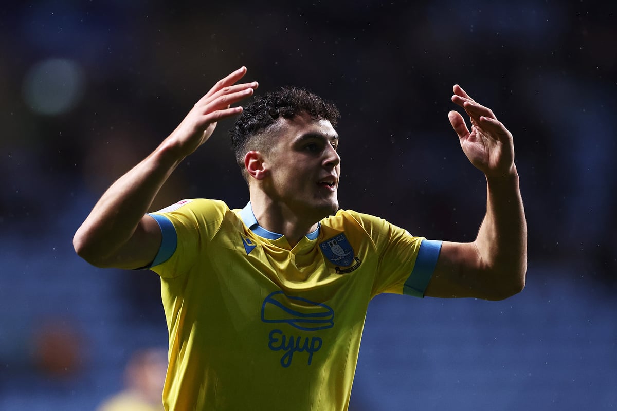 Sheffield Wednesday talent tipped for 'very good career' after eventful breakthrough season