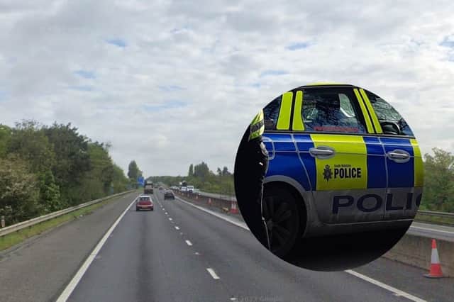 A horse died and two people were taken to hospital following a crash on the M18 motorway in Doncaster