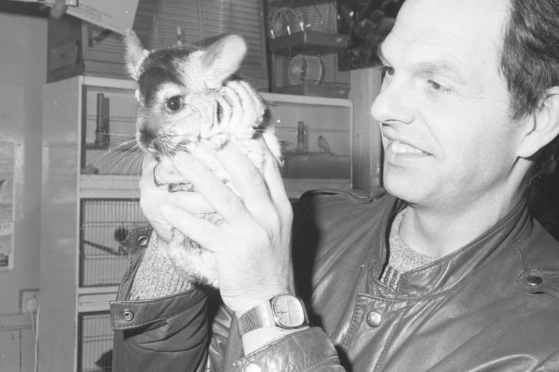 Len Maidment with the one-day old chinchilla which was born to parents George and Mildred in Len's pet shop in 1987.