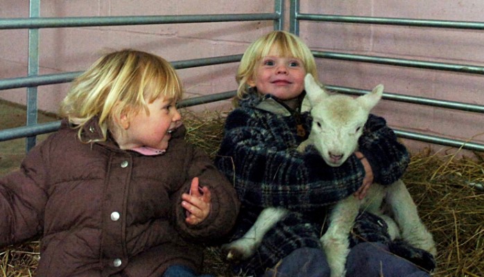 Breeze the lamb was born at Down On The Farm in 2007 and immediately became a favourite pet with Hannah Weighman and her big sister Grace.