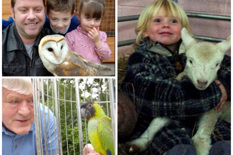 Lambs, pythons, parrots, owls. They all made the Echo headlines.
If you had a quirky pet which was always creating a stir, tell us about it by emailing chris.cordner@nationalworld.com