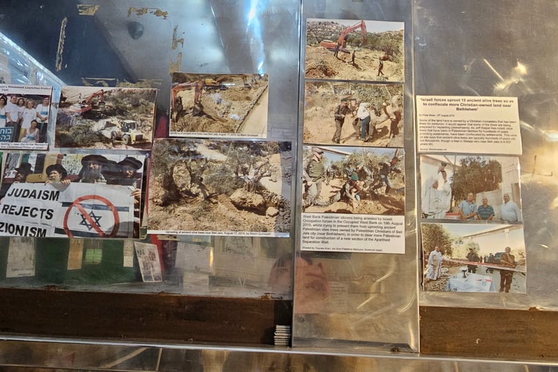 The photo display near the entrance discusses how ancient Palestinian olive trees owned by Palestinian Christians of Beit Jala City (near Bethlehem) were uprooted to clear more land for the construction of a new section of the Apartheid Separation Wall.