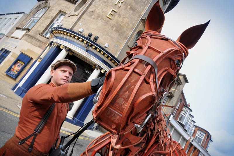 'Joey' the horse, from the stage production of War Horse, pictured outside Sunderland Empire Theatre in High Street West.