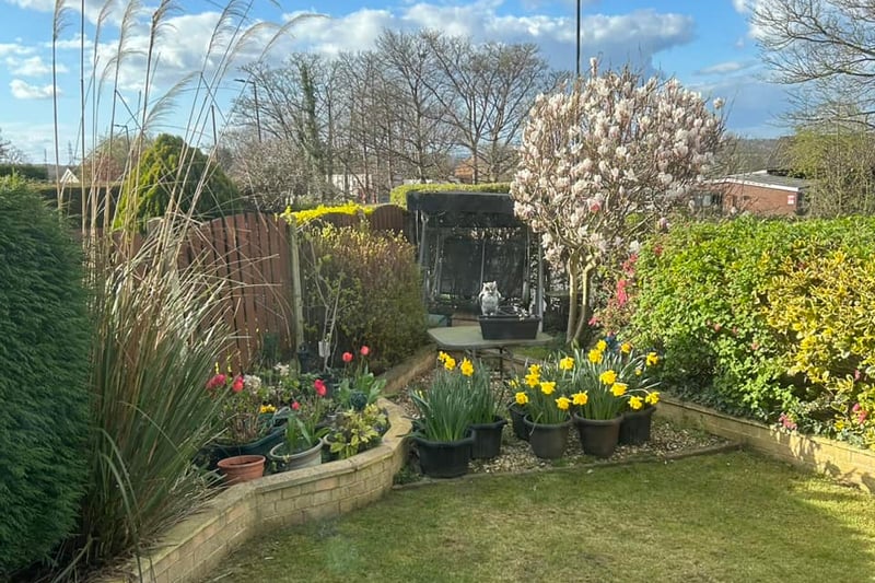 Elizabeth Coupe shared this photo of presumably their garden at spring time, where the flowers and trees are in full bloom.