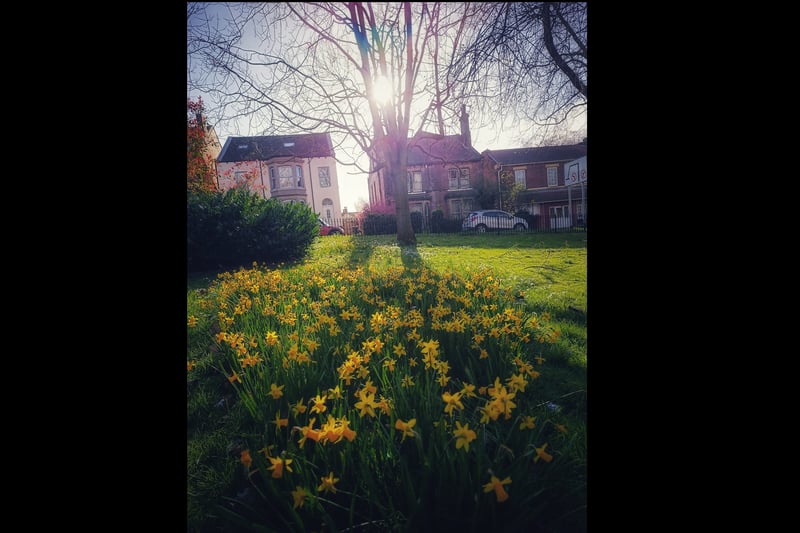 Rachel Marsden shared this picture of a lovely Spring scene at Clifton Park in Rotherham.