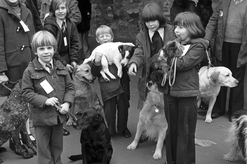 South Morningside primary school pupils hold their own dog show in February 1977.