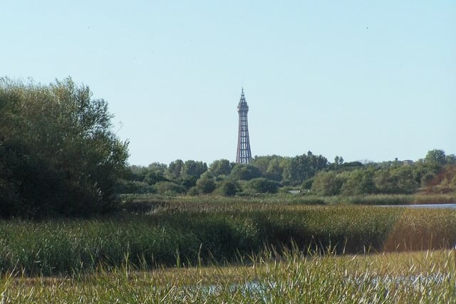Marton Mere Local Nature Reserve is a recognised as a site of special scientific interest for its bird population.