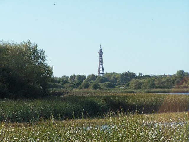 For those who love nature, Marton Mere is a hidden gem. This designated nature reserve features wetlands, woodlands, and birdwatching hides.