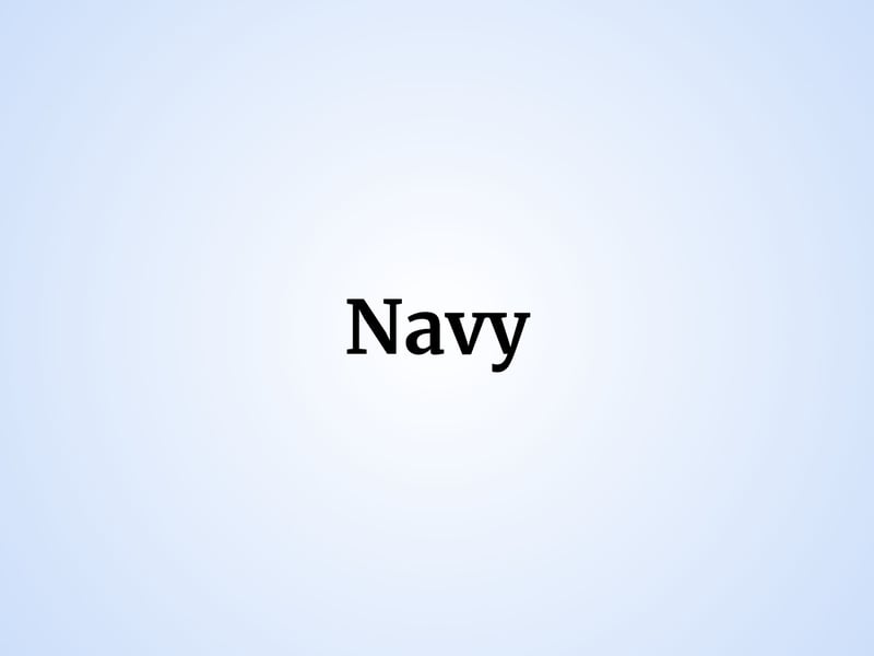 Two boys were given the name Navy last year, with six girls also named Navy. 