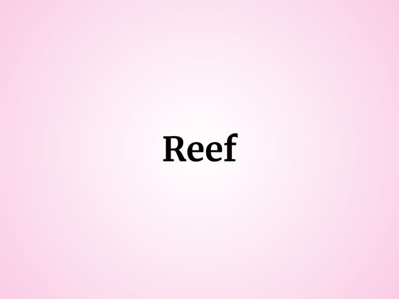 With ties to the ocean, Reef was chosen as the name of one baby girl in Scotland. 
