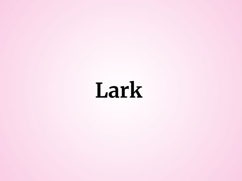 Representing a playful songbird, one baby girl was named Lark. 