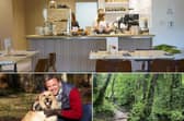 Dog friendly cafes in Sheffield. Top and bottom right photos credit National World. Bottom left photo credit Adobe.