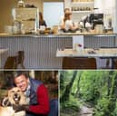 Dog friendly cafes in Sheffield. Top and bottom right photos credit National World. Bottom left photo credit Adobe.