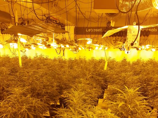 Police have found cannabis plants in a former shop building on Moore Street in Sheffield city centre. Photo: South Yorkshire Police