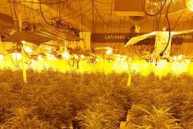 Police have found cannabis plants in a former shop building on Moore Street in Sheffield city centre. Photo: South Yorkshire Police