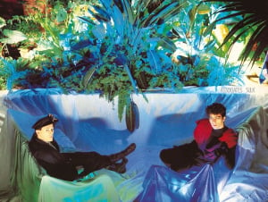 Sulk is the second studio album from Dundee band The Associates which was released in 1982. The album stayed in the UK Albums Chart for 20 weeks and peaked at number 10. The album was the last to be recorded by original pair of Alan Rankine and Billy Mackenzie. 