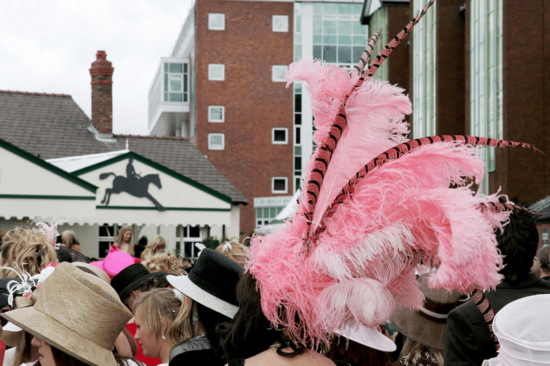 A hat made of pink feathers stands out in the crowd in 2005.