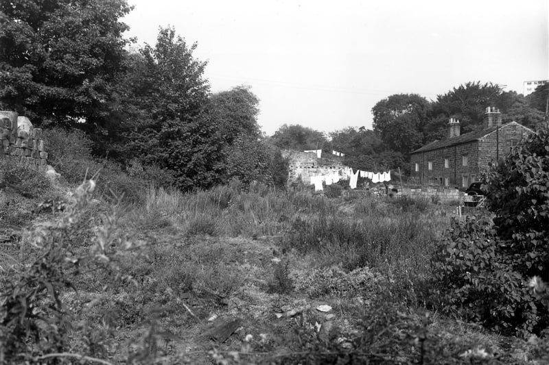 This photo from September 1959 looks across open grassland towards Scotland Mill Cottages, which are visible towards the right. Lines of washing can be seen amidst ruins which presumably were part of Scotland Mill which burnt down in 1906. 