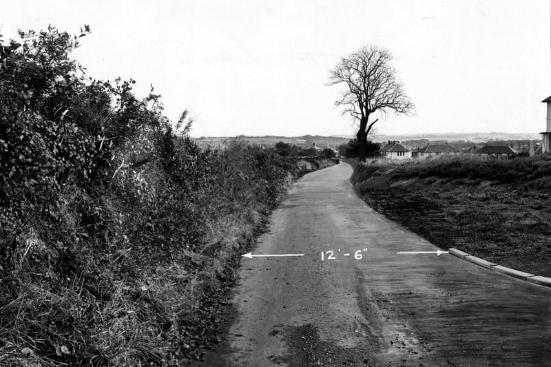 A view looking east down Farrar Lane. The photo has been altered to show proposed road widening. Pictured in October 1951.
