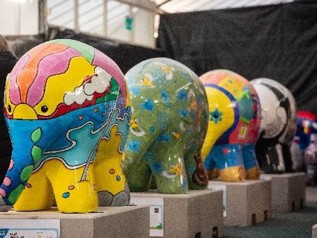 Preview of the elephants involved in Elmer's Big Parade Blackpool for Brian House Children's Hospice