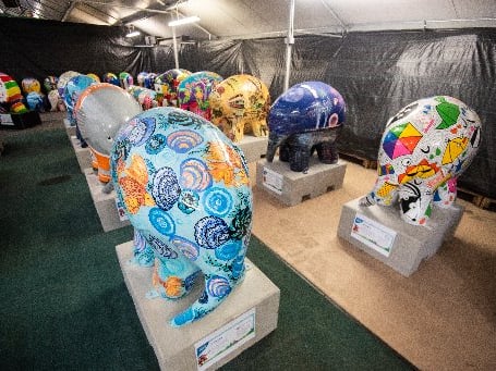 Preview of the elephants involved in Elmer's Big Parade Blackpool for Brian House Children's Hospice.