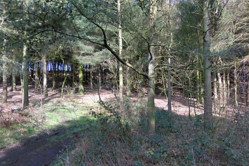 The Beacon Fell Country Park consists of 110 hectares (271 acres) of woodland, moorland and farmland.