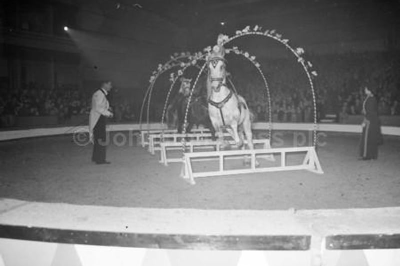 A show-horse jumps through hoops of fire at the Kelvin Hall Circus