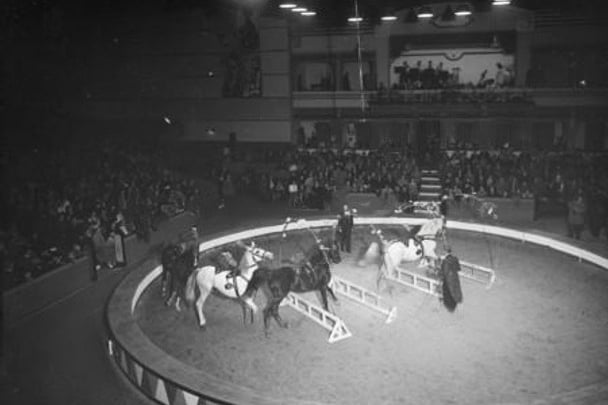 An alternate view of the show horses performing tricks