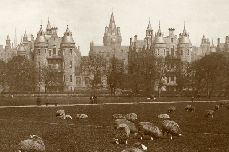 An amazing picture of the Royal Infirmary at Lauristin Place soon after it opened in 1879, with sheep peacefully grazing in the Meadows.