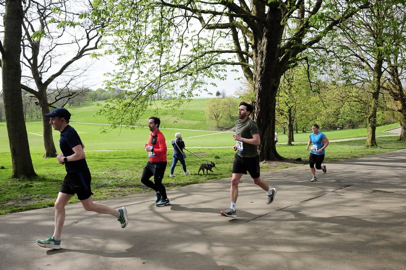 The 10k participants tackled the course that comprised one lap of the park before two larger circuits, each offering glimpses of the natural environment before a final climb to The Mansion.