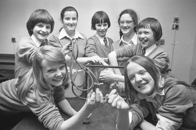 Members of the Bede School Aquarist Society were cleaning out the terrapin tank when the Echo came along in February 1976. 
Elaine Bate, Margaret Bate, Brian Banks, Susan Swales, Chris Mannall, Lynne Watson and Graeme Hedger, are pictured.