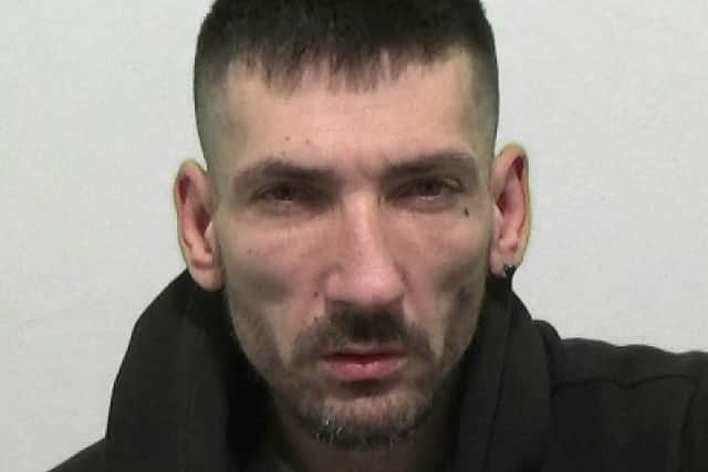 Rezmelita, 42, of Donnison Gardens, Hendon, Sunderland, admitted possessing two bladed articles, namely a claw knife and a folding knife and has been jailed for eight months.