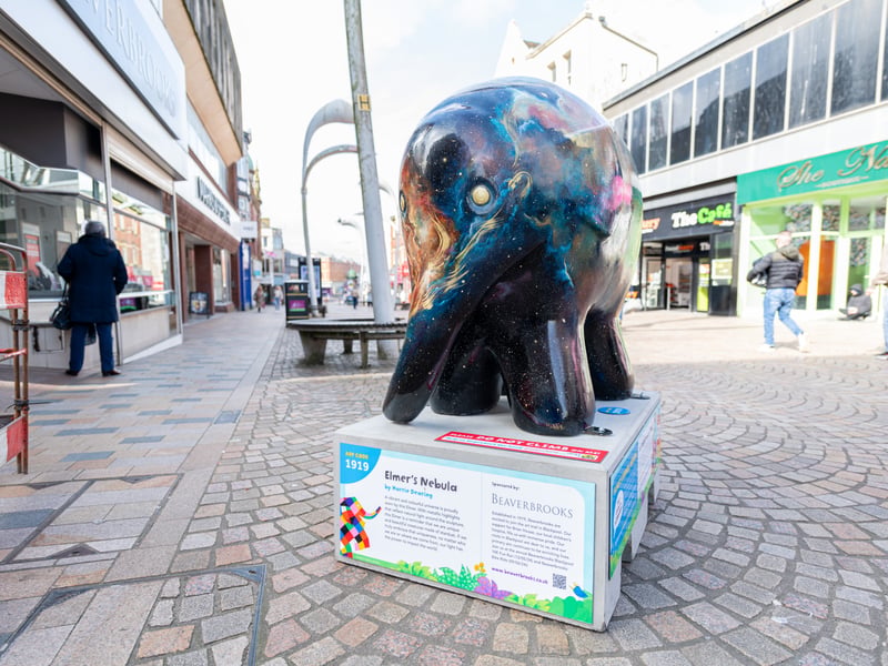 A vibrant and colourful universe is proudly worn by this Elmer.