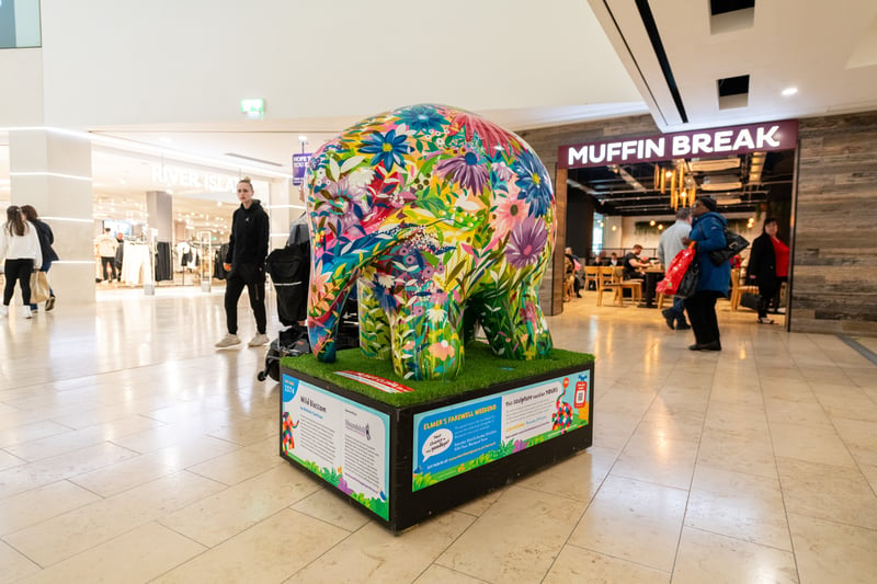 Elmer’s Big Parade Blackpool will include a free art trail app to show you the location of each Elmer and the herds of small Elmers, along with information about our Official Partners, Sponsors and artists.