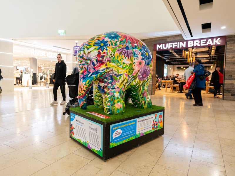 Elmer’s Big Parade Blackpool will include a free art trail app to show you the location of each Elmer and the herds of small Elmers, along with information about our Official Partners, Sponsors and artists.