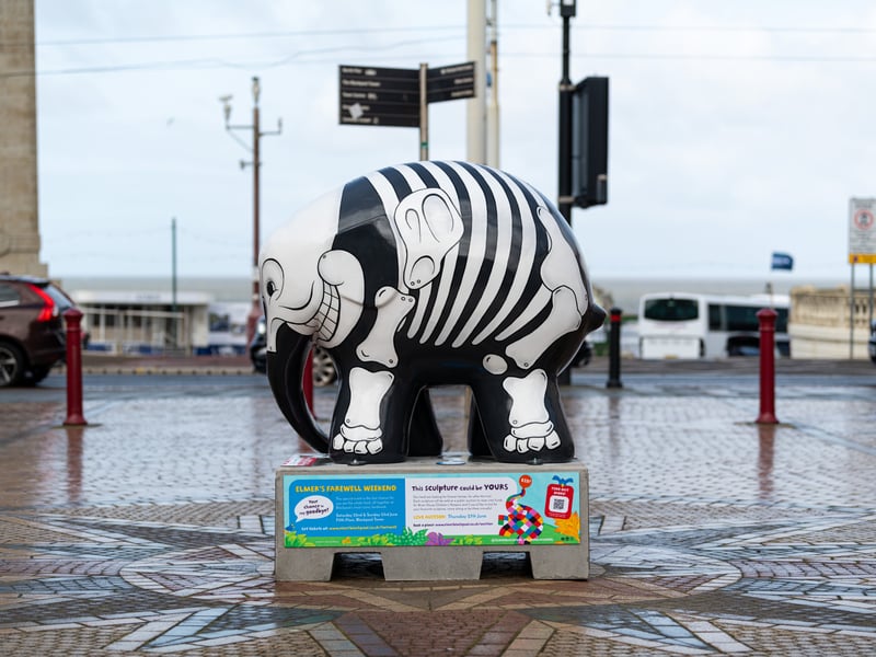 Steve Johnson’s inspiration for Elmer Unwrapped came from the natural curiosity of what Elmer’s anatomy would look like.