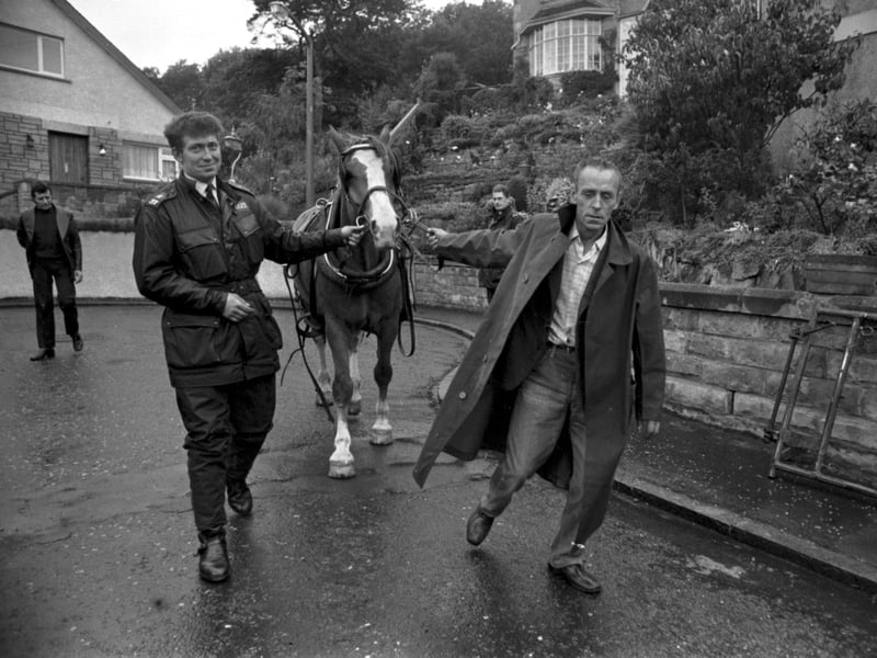 Sandy the runaway St Cuthberts milk horse bolted in Corstorphine Road Edinburgh in July 1974. Pc Graham Crombie manages to catch him.