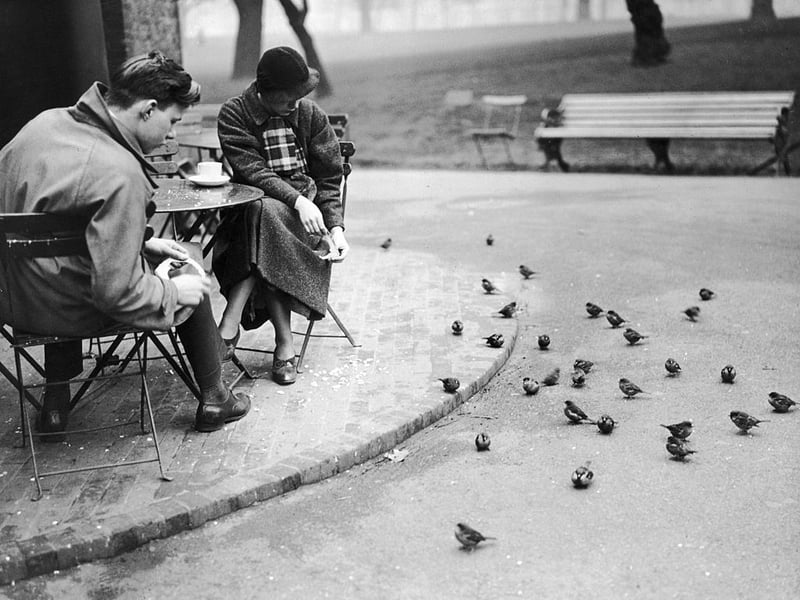 City workers spend a lunch break feeding the sparrows outside the tea rooms in St James' Park, London, January 13 1934. (Photo by Fred Morley/Fox Photos/Hulton Archive/Getty Images)