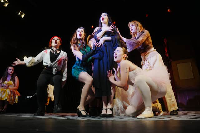 Sheffield University Performing Arts Society's production of The Addams Family. Photo: SUPAS