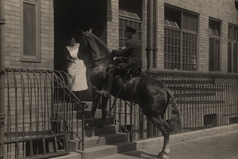 A view of a mounted Police Officer Market Street Police Station taken c. post 1933. The photograph shows a Police Sergeant who has ridden his horse up the steps which lead to one of the entrances into the building. 