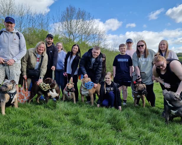 XL Bully walk at Rother Valley Country Park