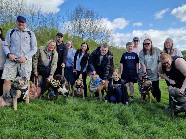XL Bully walk at Rother Valley Country Park