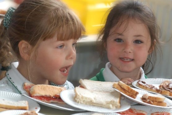 Four year olds Jessica Blenkinsop, left, and Charlotte Bowater could not believe the amount of food on offer at the Leamside Children's Centre picnic 18 years ago.