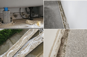 Mould has caused significant issues in this Sheffield home. The Star was told moisture trapped by the skirting boards has caused mould issues on carpets and kitchen walls.