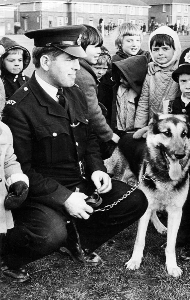 Police dog demonstration at Arbourthorne School,  Sheffield, in 1972