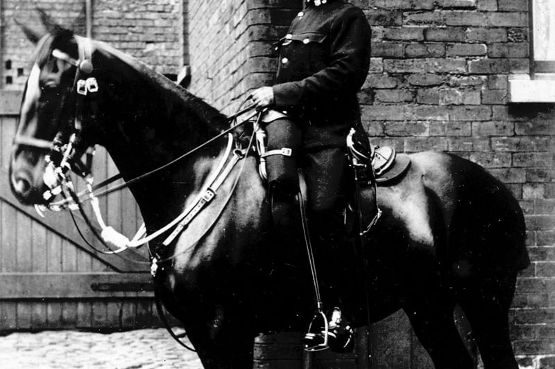 Mounted policeman, no 3, pictured in July 1909. Stables at the back of the old central fire station on Park Street were used by the mounted police section from 1883 until 1972, when the stables were transferred to Temple Newsam. They are now at Carr Gate, Wakefield. 