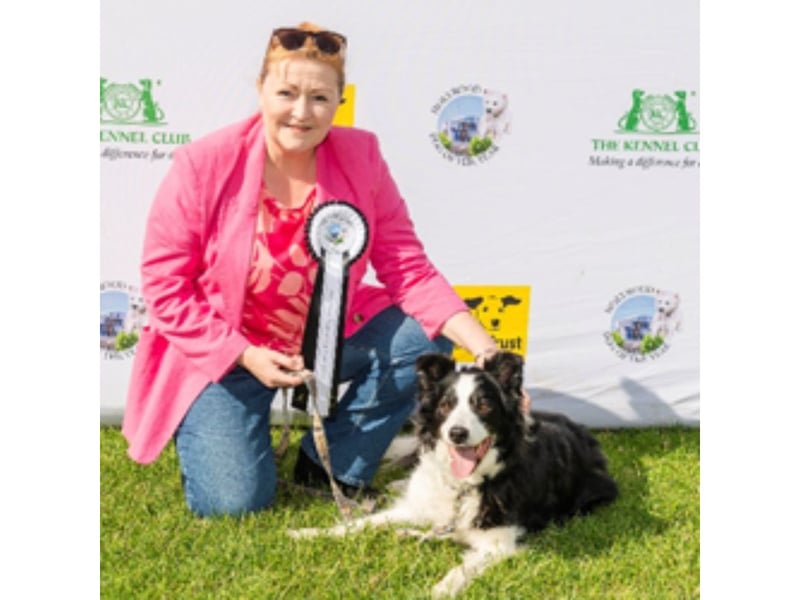 The South Scotland MSP said: "I believe my Dogs Trust dog should be crowned Holyrood Dog of the Year because we are promoting responsible countryside access, raising awareness of responsible dog ownership and, importantly, ensuring that all dog owners are enjoying Scotland’s bonnie countryside responsibly. We are also continuing to promote the key signs and symptoms of illegal puppy trafficking. I chose to have a dog that’s available for rescue because my most recent dog, Meg, is from Dumfries and Galloway Canine Rescue, and I know how fantastic rescue dogs can be."