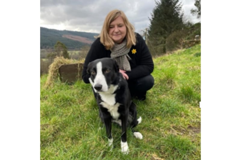 The Argyll & Bute MSP said: "Jim is handsome, smart, good fun and affectionate.  He's a great advert for the joy that a dog can bring to people. "